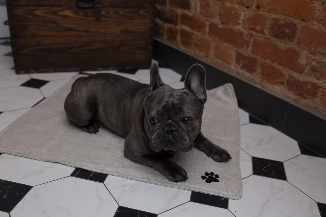 Льняной коврик для собак "Бубелька"