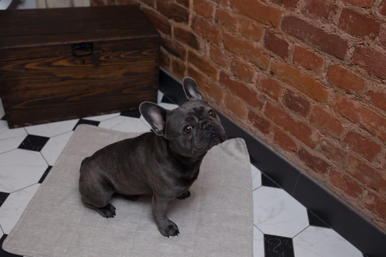 Льняной коврик для собак "Бубелька"