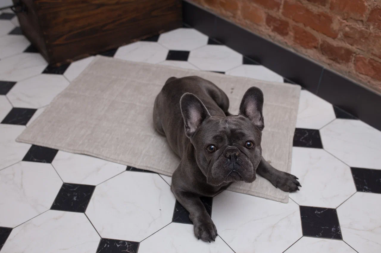 Льняной коврик для собак "Бубелька"